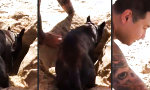 Lustiges Video - Selbstgegrabener Liegestuhl