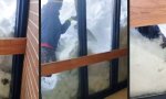 Lustiges Video - Tiefschnee Bunny