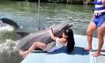 Movie : “Überfreundlicher” Delfin