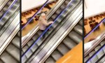 Lustiges Video : Fitnesstraining für Seniorin