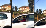 Lustiges Video - Road Rage Sirene