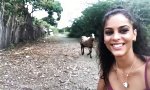 Funny Video : Selfie mit der Ziege