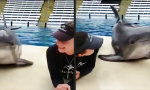 Movie : Delfin ist der Hahn im Korb