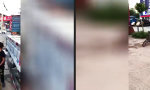 Lustiges Video : Aufgeregte Jagd aufs Zweirad