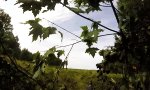 Lustiges Video - Soldaten-Vokabular