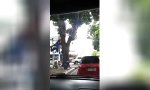 Funny Video : Der brasilianische Spiderman