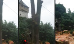 Die Geburt eines Holzfäller-Klons