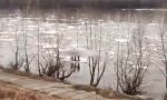 Funny Video : Flussausfahrt im russischen Frühling
