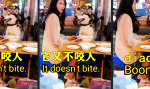 Funny Video : Susi Li und was für ein Strolch