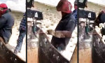 Funny Video - Verflixt nochmal