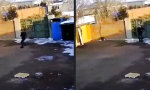 Lustiges Video - Absolut nicht sein Tag
