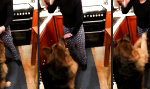 Lustiges Video - Schäferhund kann tolle Tricks!