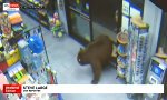 Funny Video : Bärenstarker Job : Shop Keeper