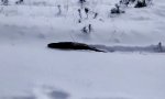 Gechillt durch den Schnee schwimmen