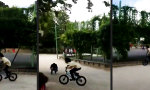 Funny Video - Die Back-Flip Birke