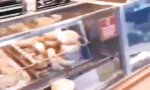 Funny Video : Teilchenbeschleuniger