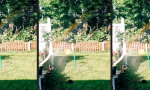 Lustiges Video : Tanz den Regenbogen!!!