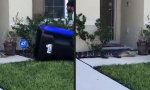 Funny Video : Der Müllschlucker geht um