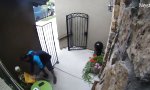 Lustiges Video : Der Todesbote