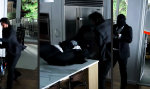 Funny Video : Selbst ist der Keanu