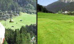 Funny Video : Ordentlich einen gekippt
