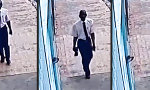 Funny Video : Vorsicht Raubtiere