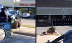 Lustiges Video : Mit dem Speeder durch die Hood