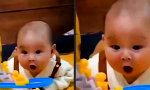 Funny Video : Du kommst aus dem Staunen nicht raus