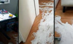 Funny Video - Ansgar, das kleine Gespenst