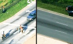 Funny Video - Highway-Cowboys