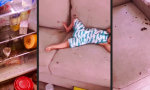Funny Video : Erfolgreicher Zucker-Rausch