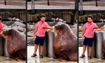 Funny Video - Der lange Atem des Gesetzes
