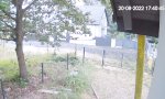 Lustiges Video - Hammerharter Elektrozaun