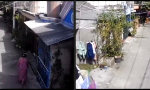 Funny Video : Rache ist Blutwurst