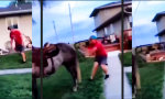 Funny Video - Ein Ausflug in andere Welten