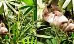 Funny Video - Schlafen vs die Physik