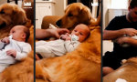 Funny Video - Fell-Massage-Sessel