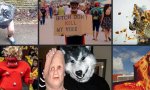 Pic : Donnerstag Fun PicDump #461