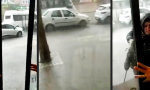 Funny Video : Es hagelt Applaus