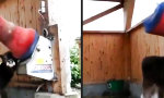Funny Video - Kraulbürste für höchste Kuhzufriedenheit