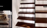 Funny Video - Stairway to Heaven