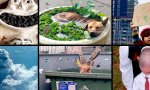 Pic : Donnerstag Fun PicDump #513