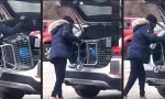 Lustiges Video : Großer Wocheneinkauf