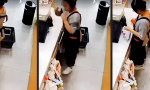 Funny Video : Schreie der Ohnmacht