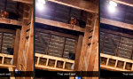 Lustiges Video : Nicht das hellste Huhn im Stall
