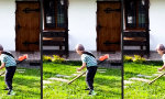 Funny Video : Leben im Grünen beruhigt, sagten sie