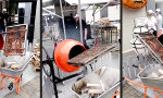 Lustiges Video : Grillen nach Schichtende