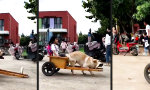 Movie : Eigener Grundschul-Chauffeur