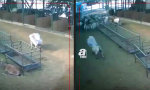 Funny Video - Keiner mag mich mehr