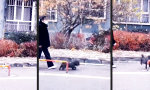 Lustiges Video : So wird Gassigehen niemals langweilig